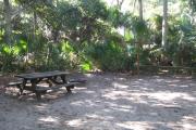 Each site is equipped with a picnic table, lantern post, hose bib, electric hook-up for 20 and 30 amp service, and fire pit on the ground with a fold over grill top.