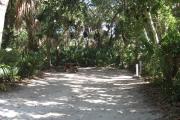 This campsite is tucked back in the shady hammock which provides cover most of the day. There is vegetation providing a boundary from neighboring sites. The ground cover is crushed shell, making a hard packed white surface.