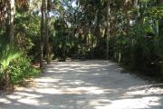 This campsite is tucked back in the shady hammock which provides cover most of the day. There is vegetation providing a boundary from neighboring sites. The ground cover is crushed shell, making a hard packed white surface.