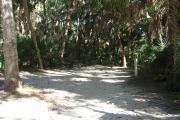 This campsite is tucked back in the shady hammock which provides cover most of the day. There is vegetation providing a boundary from neighboring sites. The ground cover is crushed shell, making a hard packed white surface.