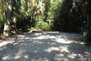 This campsite is tucked back in the shady hammock which provides cover most of the day. There is vegetation providing a boundary from neighboring sites. The ground cover is crushed shell, making a hard packed white surface.