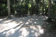 This campsite is tucked back in the shady hammock which provides cover most of the day. There is vegetation providing a boundary from neighboring sites. The ground cover is crushed shell, making a hard packed white surface.