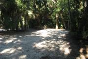 This campsite is tucked back in the shady hammock which provides cover most of the day. There is vegetation providing a boundary from neighboring sites. The ground cover is crushed shell, making a hard packed white surface.