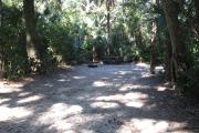 This campsite is tucked back in the shady hammock which provides cover most of the day. There is vegetation providing a boundary from neighboring sites. The ground cover is crushed shell, making a hard packed white surface.
