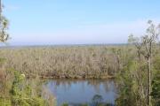 Family taking in the view atop Nealâs Bluff overlooking the Apalachicola River.