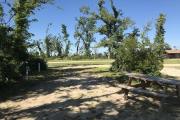 View of left side of campsite 1 with a barrier of needle palm