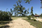 View of left side of campsite 2 showing moderate vegetative barrier.