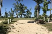 View of left side of campsite 3 showing moderate vegetative cover.