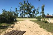 View of the left side of campsite 4 showing a sparse vegetative barrier between sites.