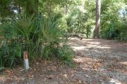 Partial view of site 5 showing a moderate vegetative barrier between sites