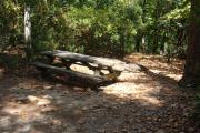 View of fire ring and picnic table near the back of site 5. Clothes line is available though not shown in picture.