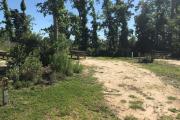 Partial view of campsite 6 showing a moderate vegetative barrier between sites.