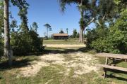 Partial view of campsite 7 showing a moderately dense vegetative barrier.