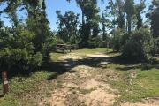 Full view of campsite 7 from road. Electrical hookup is located on the right and water hookup located on the left side of site.