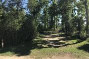 Full view of campsite 14 from road. Electrical and water hookups are located on the right side of the site.