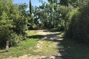 Full view of campsite 15 from road. Electrical hookup is located on the right side and water hookup is located on the left side of the site
