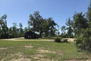 View of campsite 17 showing dense vegetative barrier between sites.