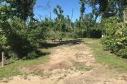 Full view of campsite 20 from road. Electrical and water hookups are located on the right side of the site.