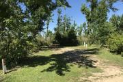 Full view of campsite 22 from road. Electrical and water hookups are located on the right side of the site.