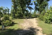 Full view of campsite 23 from road. Electrical hookup is located on the right side and water hookup is located on the left side of the site