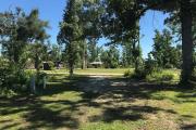 Partial view of campsite 25 shoeing moderately dense vegetative barrier between sites.