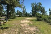 Partial view campsite 26 showing sparse vegetative barrier between sites.