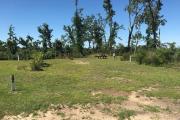 Partial view of campsite 27 showing sparse vegetative barrier between adjacent sites.