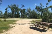 Partial view of campsite 28 showing moderately dense vegetative cover between sites on left.