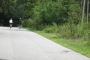 Two bicyclers are riding along the paved, 2 mile park drive.  A commonly sighted Gopher Tortoise is eating grass on the side of the road.
