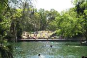 The spring on a busy summer day.  People are enjoying the Florida sun in the water, in the shade of the trees on the bulkhead, and on picnic blankets on the grassy slope overlooking the spring.
