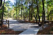 This photo is from the back of the site looking onto the campground road.  The site across the way is visible.  The sidewalk to the restroom is also visible joining the back of the site.