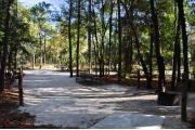 This photo is from the back of the site and shows the surrounding Oak and Pine trees with an open understory.