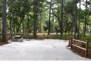 This photo shows the surrounding Pine trees and light vegetation around this site.  The back of this site is a little wider than most.