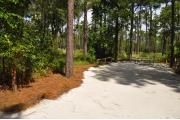 This photo shows the surrounding Pine trees and a nice view of the wiregrass area behind this site.