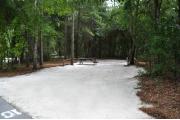 This photo shows the surrounding Pine and Oak vegetation around this site.
