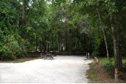 This photo shows the surrounding Oak vegetation around this site.