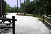 This photo is from the back of the site and shows the campground road.  The fire ring/grill is nestled in a side area of the site and the site is surrounded by sections of split rail fence.