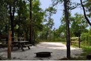 This photo is from the back of the site and shows the campground road.  The fire ring/grill is located in the back corner of the site and the site is surrounded by sections of split rail fence.