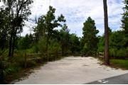 This photo shows the surrounding Pine, Oak and Palm vegetation around this site as well as wildflowers that are in bloom in late summer and early fall.