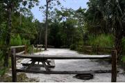 This photo is from the back of the site and shows the campground road.  The fire ring/grill is located in the back corner of the site and the site is surrounded by sections of split rail fence.