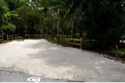 This photo shows the surrounding Pine and Oak vegetation around this site.