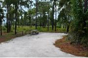 This photo shows the surrounding Pine vegetation and wildflowers which are in bloom during the late summer and early fall.