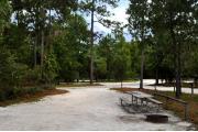 This photo is from the back of the site and shows the campground road and neighboring campsites.  The fire ring/grill is located in the back corner of the site and the site is surrounded by sections of low, split rail fence.