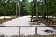 This photo is from the back of the site and shows the campground road and neighboring campsites.  The fire ring/grill is located in the back corner of the site and the site is surrounded by sections of low, split rail fence.