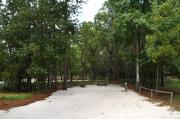 This photo shows the surrounding Oak and Pine vegetation around this site and the bathhouse in the background.