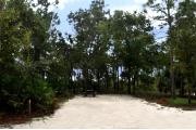 This photo shows the surrounding Pine, Oak and Palm vegetation around this site.  The fire ring/grill is located in the back corner of the site.
