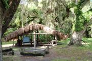 1876 cow camp chickee hut surrounded by large oaks covered with lush green resurrection fern.