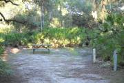 30x34 foot shell rock campsite with picnic table, grill, water and electric hook ups surrounded by saw palmetto.