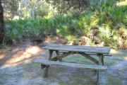 Picnic table and fire pit /grill under a large oak tree surrounded by saw palmetto.
