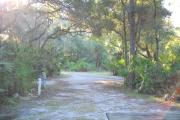 Looking over the top of a picnic table from the back of the site to the front which faces the road.